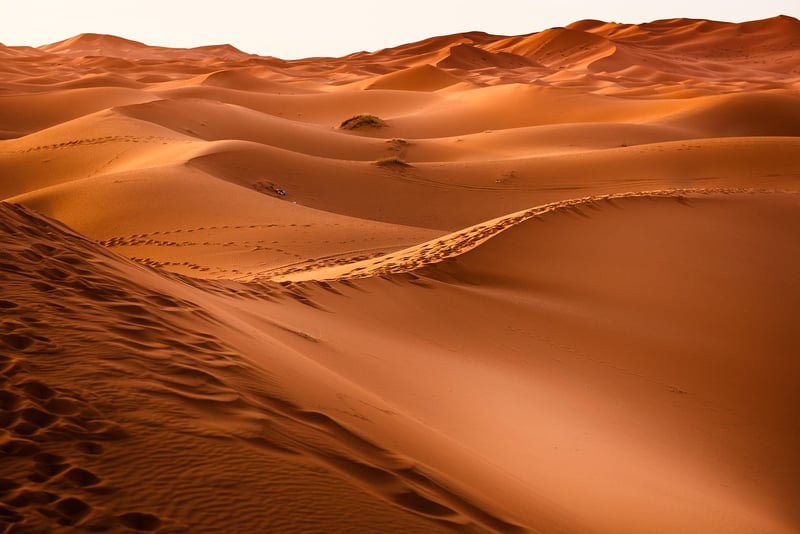 Desert landscape